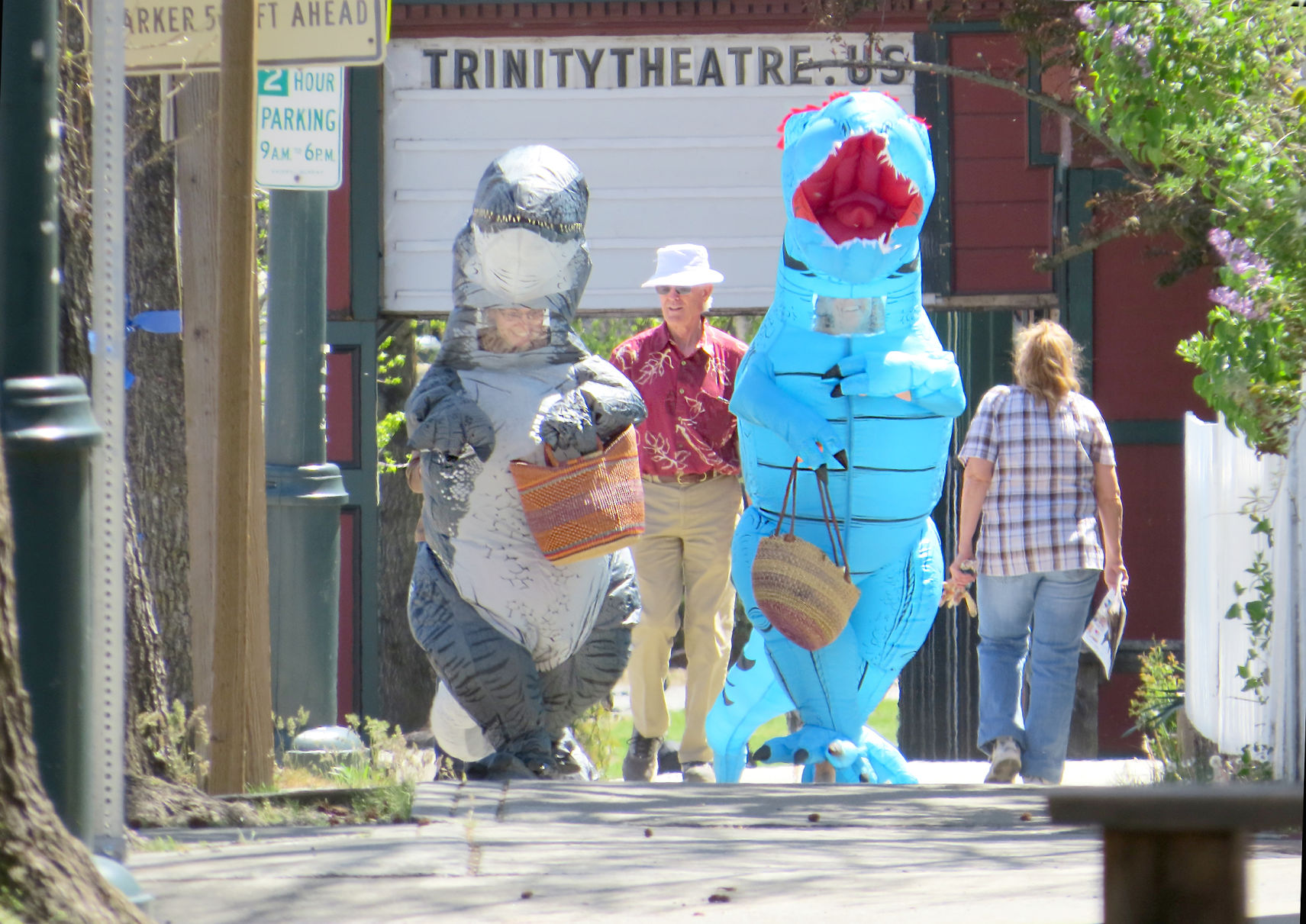 Wild time in Weaverville